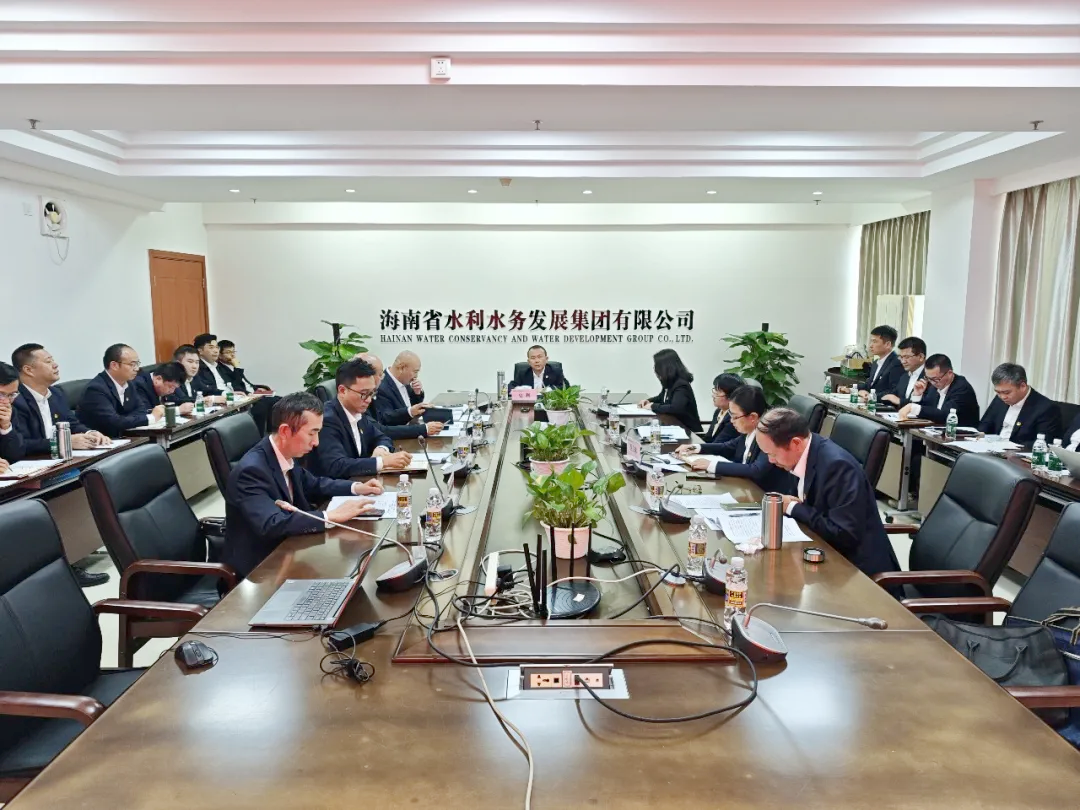 水電集團召開2024年度黨組織書記抓基層黨建工作述職評議考核會