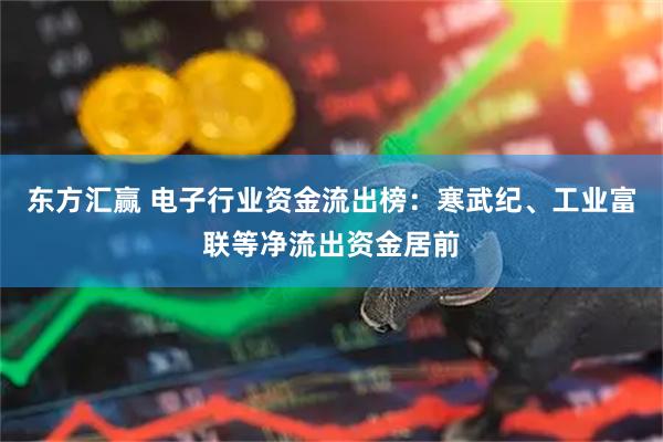 东方汇赢 电子行业资金流出榜：寒武纪、工业富联等净流出资金居前